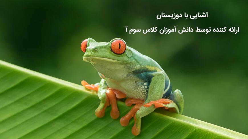 آشنایی با جانوران و دوزیستان
